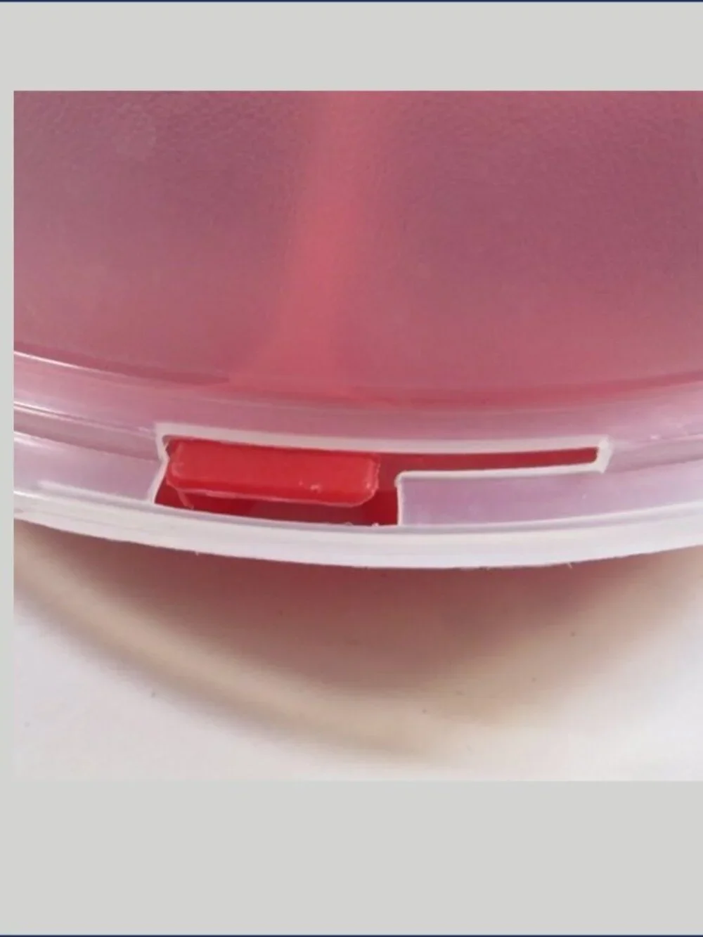 Vintage Rubbermaid Servin Saver Red Divided Party Tray 0259 Sheer Lid Container